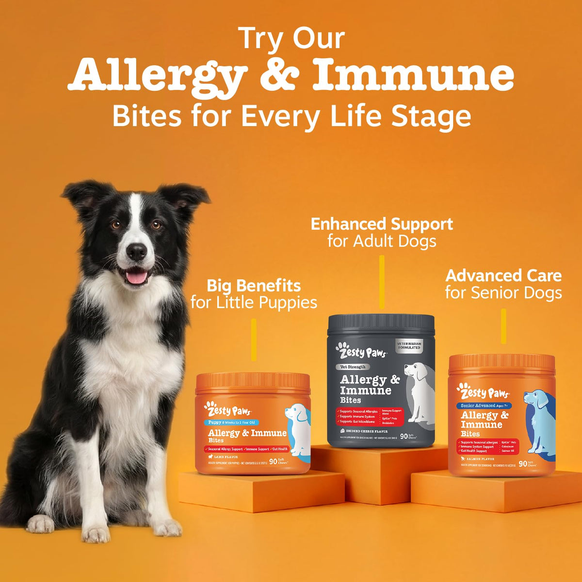 Vet Strength Dog Allergy Chews (90 Count (Pack of 1) - Vet Strength)