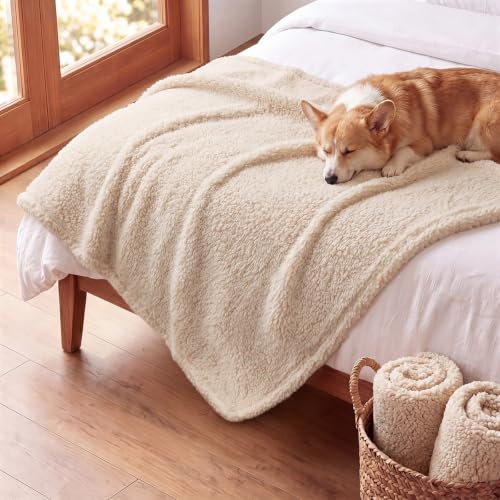 1 Pack 3 Calming Blankets Fluffy Premium Fleece Pet Blanket Soft Sherpa Throw for Dog Puppy Cat Beige Large (Large (Pack of 3) / Beige)