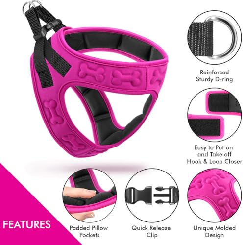 Comfort fit Step (L (Chest 18.5"-21") / Pink)
