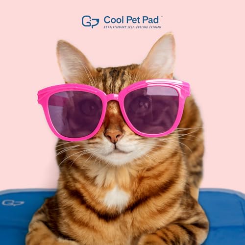 Cool Pet Pad Extra Small (X-Small / Blue)