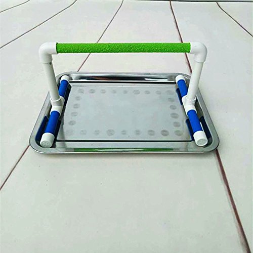 Small Bird Parrot Stand Perch Table Top Stand Playground Grind Perch Swing Training Playstand Exercise Chew Toys for Budgies Parakeet Cockatiel Conure Finch (L)