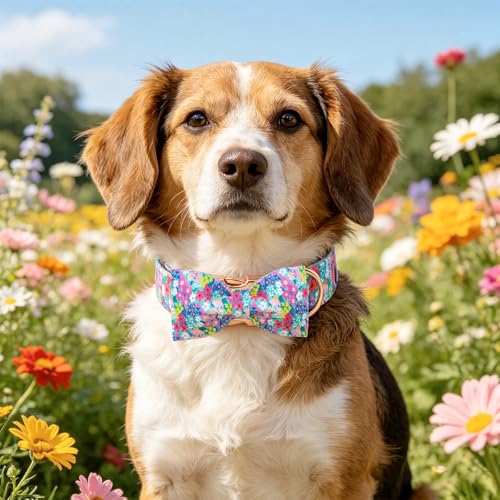 Spring Floral Dog Collar (Flower&Wild Berries / X-Large (Pack of 1))