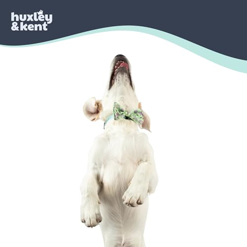 Pet Bow Tie for Dogs & Cats (Small)