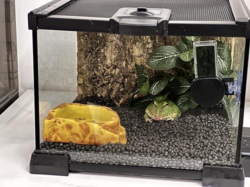 Mini Reptile Glass Terrarium Tank (7.9x7.9x5.7inch)