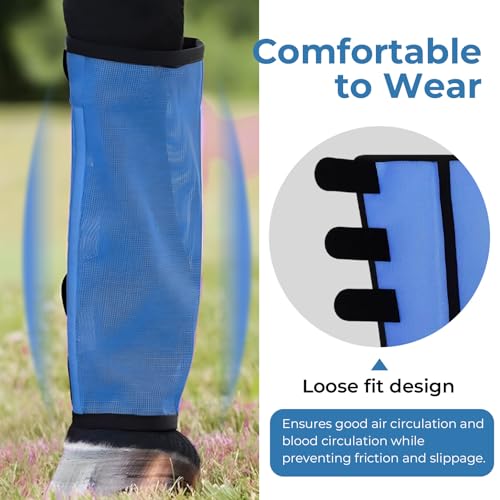 Mesh Horse Fly Boots Set of 4 (Blue)