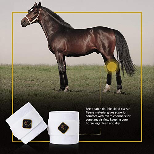 Elastic Fleece Bandages for Horses (2 Pack / White)