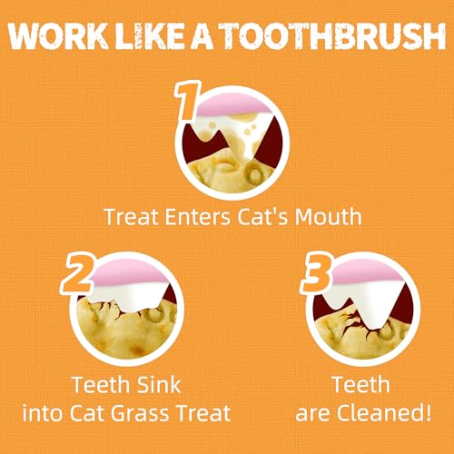 Cat Grass Treats with Cranberry & Pumpkin (2.25 Pound (Pack of 1))