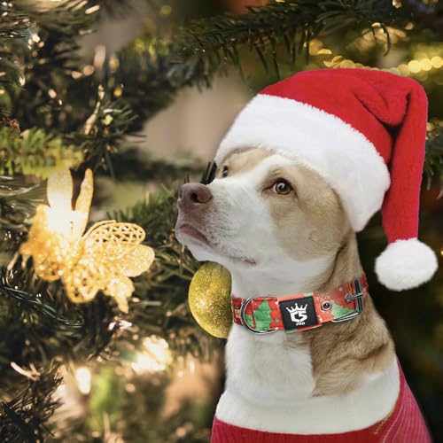 Heavy Duty Thick Dog Collar with Metal Buckle for Medium Dogs (M – Fits Neck 15.8"-18.9" / Christmas Green)