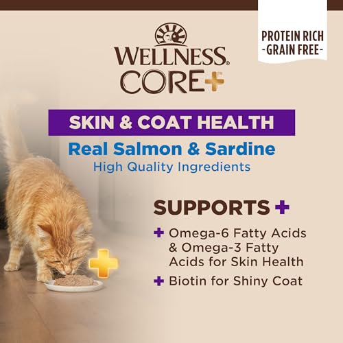CORE+ Skin & Coat Pate Adult Wet Cat Food (2.8 Ounce (Pack of 12))