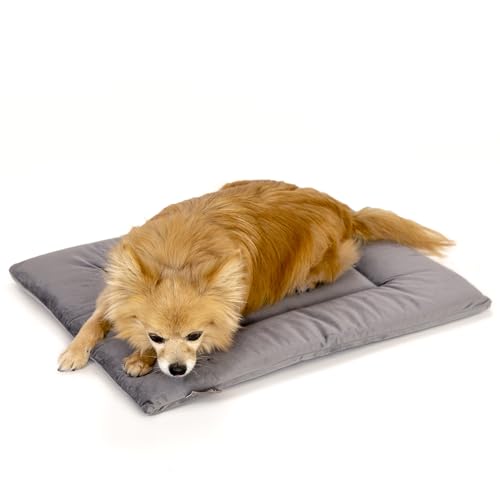 Dog Crate Pad (20.0"L x 15.0"W x 1"Th / Dark Grey)