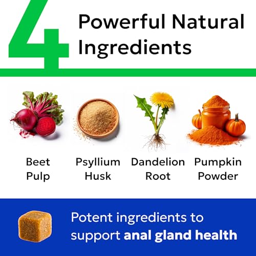 Dog Anal Gland Treatment Chews (Gland Guard / 120Ct Bacon)