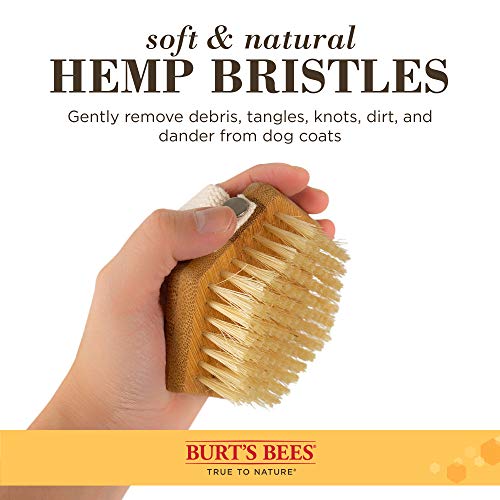 Palm Brush with Hemp Bristles (Brown / 24 Count)