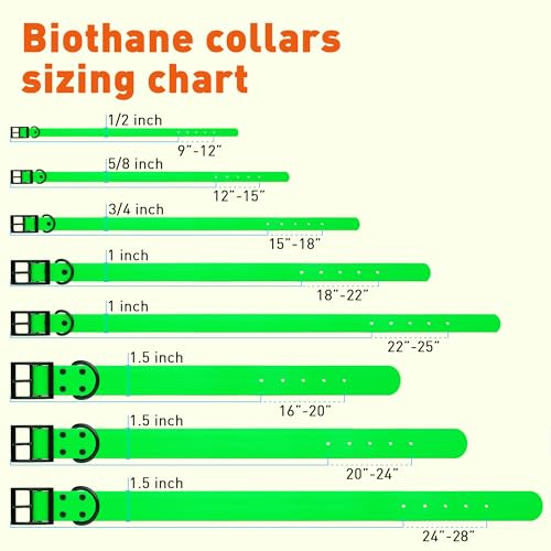 Biothane Waterproof Dog Collar Strong Coated Nylon Webbing with Black Hardware Odor (W3/4" x L15-18" / Tropical Green)