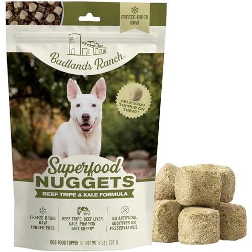 Superfood Nuggets (8 Ounce (Pack of 1))