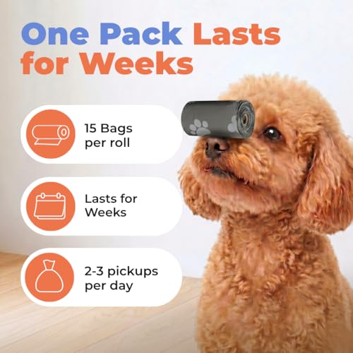 Poop Bags for Dogs (Gray / 150 Bags)