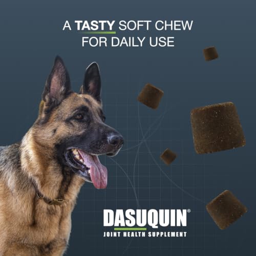Nutramax Dasuquin MSM Joint Supplement for Large Dogs (42 Count / Large Dog (Over 60 lbs))