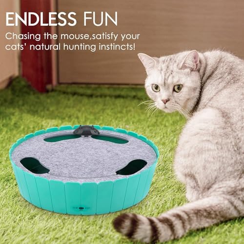 Interactive Cat Toy with Running Mouse (L-Lake Blue)