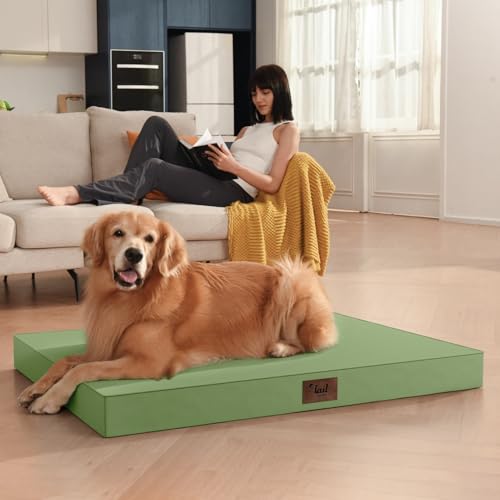 Large Waterproof Orthopedic Dog Bed with Egg Crate Foam (Light Green / 41.0"L x 27.0"W x 3.5"Th)