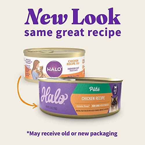 Pate Wet Cat Food