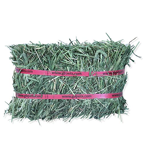 Timothy Hay Mini Bale (160 Ounce (Pack of 1))