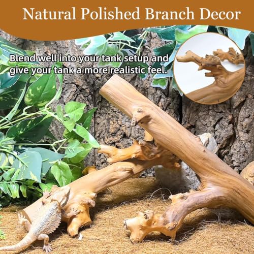 2PCS Snake Climbing Branch (Polished Reptile Climbing Wood)
