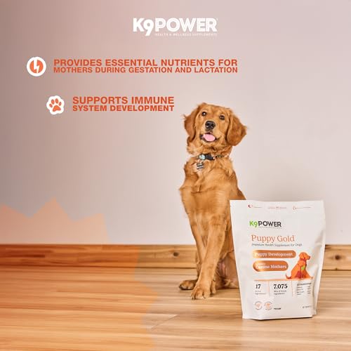 K9Power Puppy Gold 3lb (1 lb (Pack of 3))