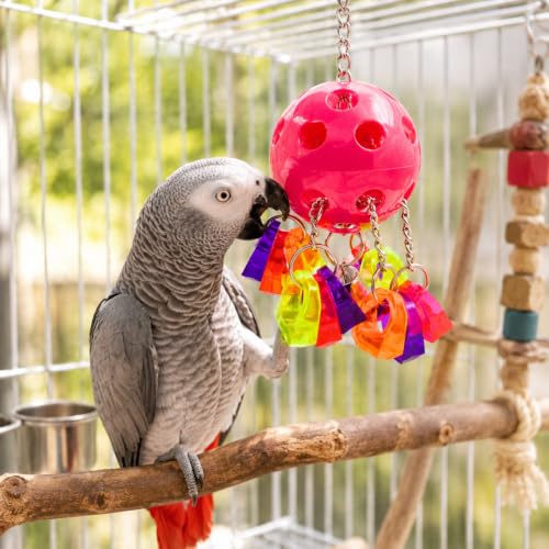1938 Paci Pull Colorful Pacifier Ring Acrylic Parrot Parrotlet Budgie Quaker African