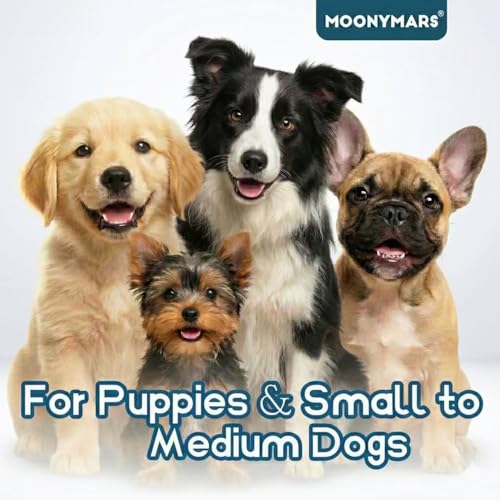 Small Dog Toothbrush (Blue - Horizontal Head / 1 Count (Pack of 1))