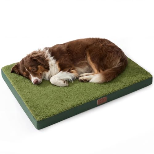 Washable Dog Beds Large Sized Dog with Comfy Sherpa (36"L x 27"W x 3"Th / Dark Green)