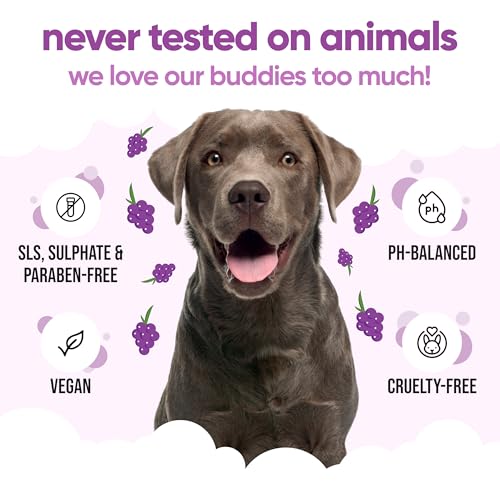 Grape Dog Shampoo by Buddycare (169.07oz)