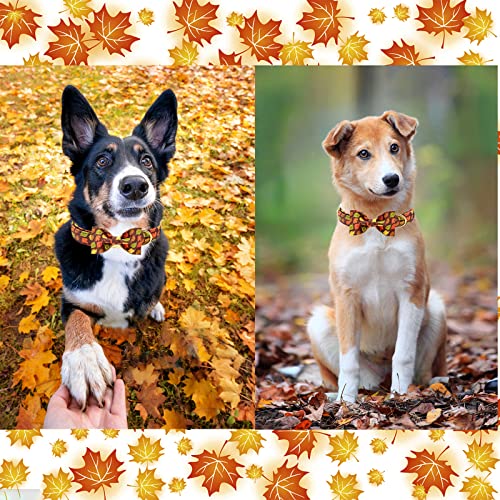 Fall Dog Collar with Bow (L / mapleleaf)