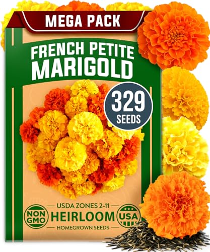 Petite French Marigold Seeds
