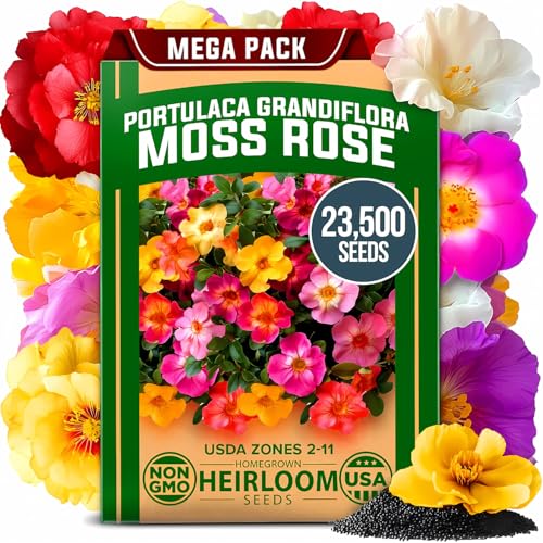 Moss Rose Portulaca Seeds