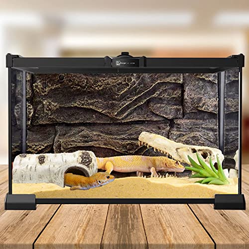 Reptile Hide Caves Simulation Tree Hideout Snake Hide