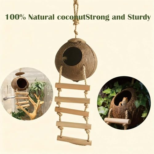 Leopard Gecko Tank Accessories. Reptile Hammock Vines Plants with Coconut Shell Ladder Hideout Hermit Crab Decor for Bearded Dragon Lizard Chameleon Crested Gecko Tortoise Snake (Small Standard Set)