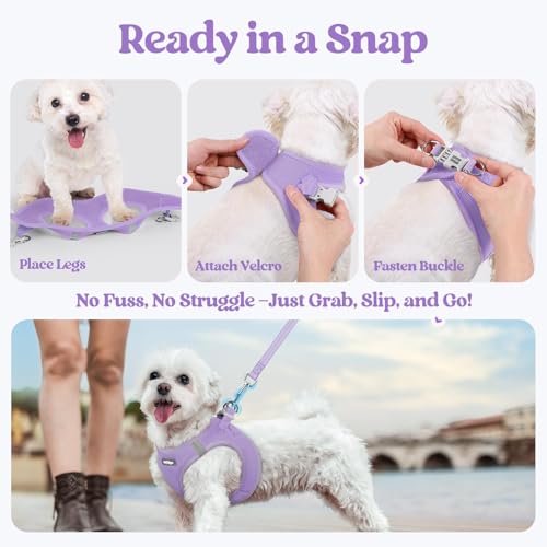 Dog Harness Medium Sized and Leash Set (Light Purple / Xxl (chest: 21.6 - 23.7"))