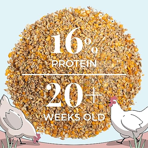 Organic Chicken Feed (Whole Grain / 23 Pound (Pack of 1))