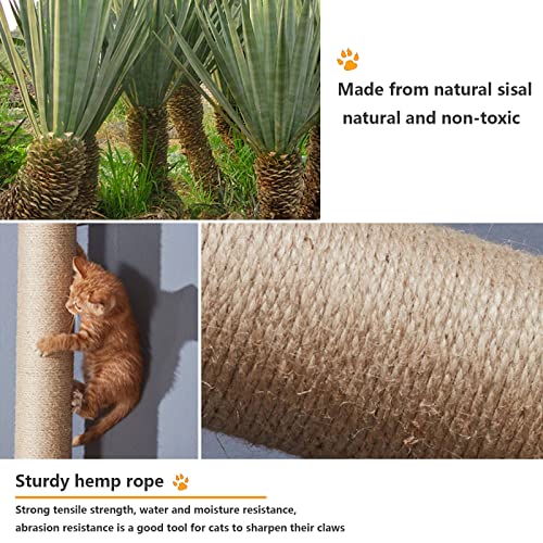 Cat Wall Shelves and Furniture Set with Condos (B)