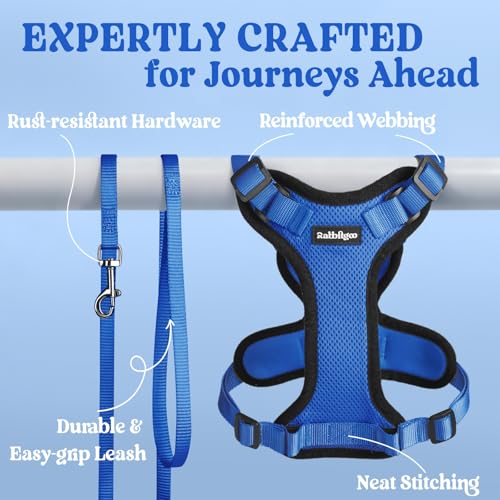 Cat Harness and Leash Set (Xs / Navy Blue)