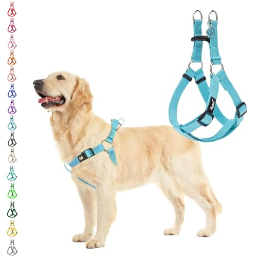 No Pull Dog Harness Medium Sized Step (Light Blue / Medium)