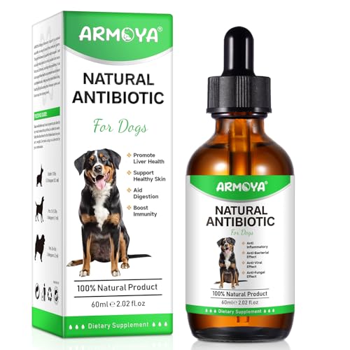 Natural Antibiotics for Dogs