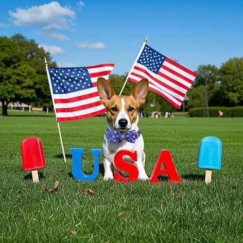 4th of July Dog Collar with Bowtie (Popsicle USA / Small (Pack of 1))