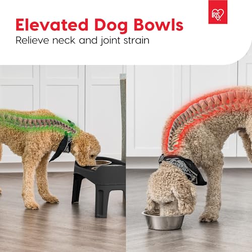 Elevated Dog Bowls (Black)