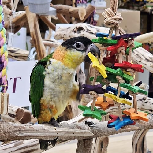 Wood Stars & Leather Toy for Bird Cage Stand or Playgym
