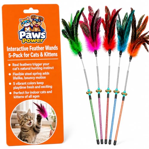 Cat Feather Wand Toy Set
