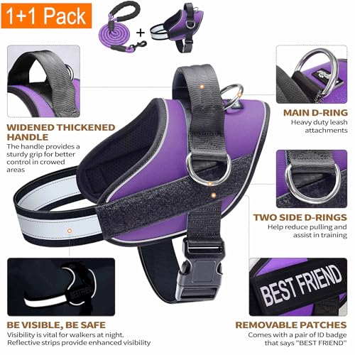Essential Dog Harness (XL / Purple)