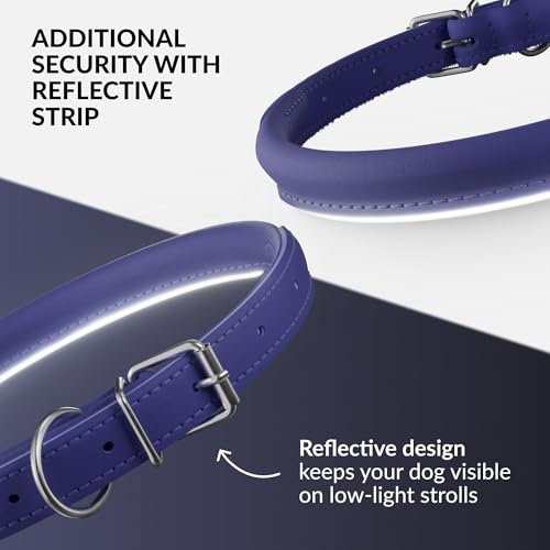Tangle Free Reflective Leather Dog Collar (Purple / M)