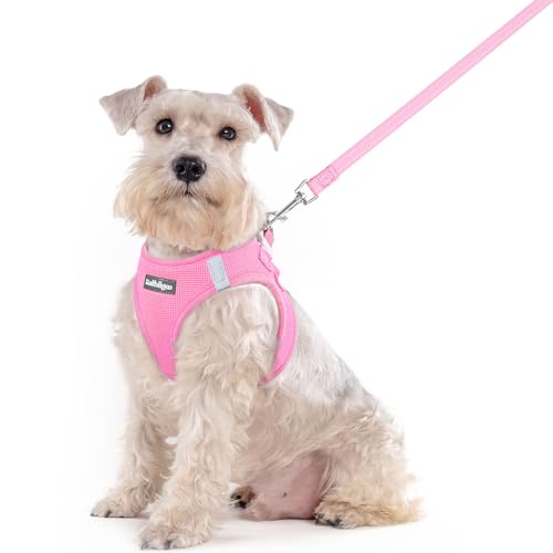 Dog Harness Medium Sized and Leash Set (Light Pink / Xxl (chest: 21.6 - 23.7"))