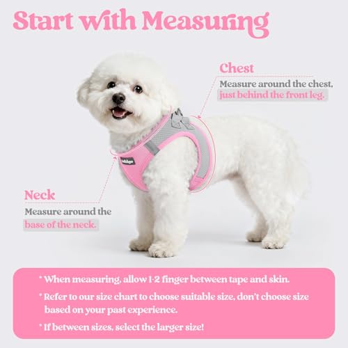 Dog Harness Small Sized and Leash Set (Light Pink & Gray / Xxs (chest: 12.4 - 14.2"))