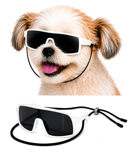 G029 Dog Cat Pet Sports Turbo Small Sunglasses for Toy Breeds 8 (S, 8-18 lbs, Sport Turbo White)